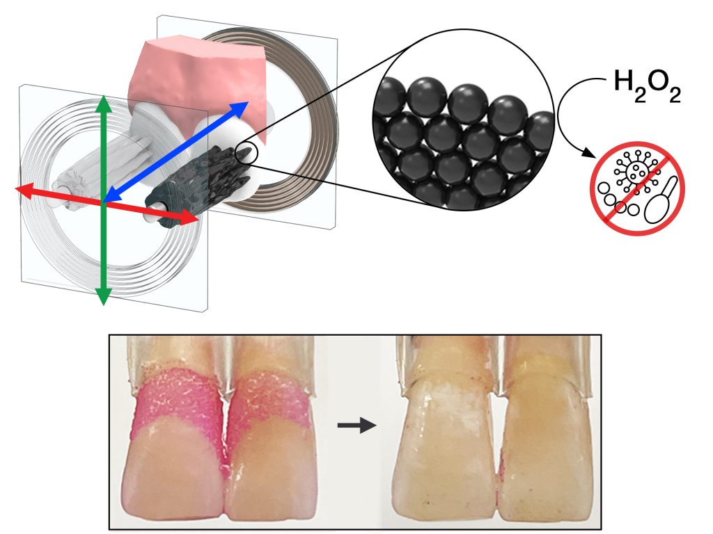 Teeth-Cleaning Microrobots